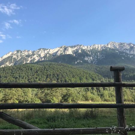 Pensiunea Kyfana Zarnesti Exterior foto