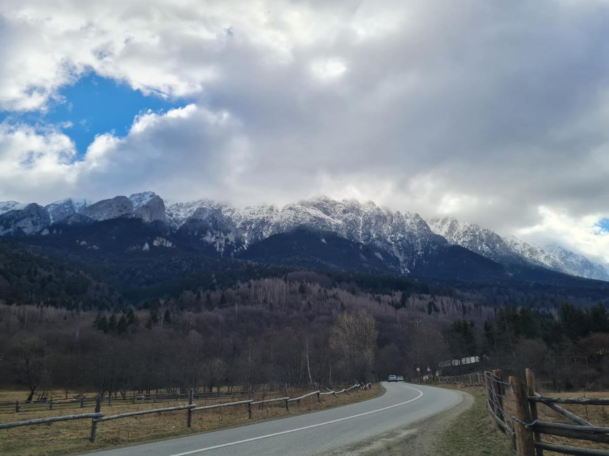 Pensiunea Kyfana Zarnesti Exterior foto