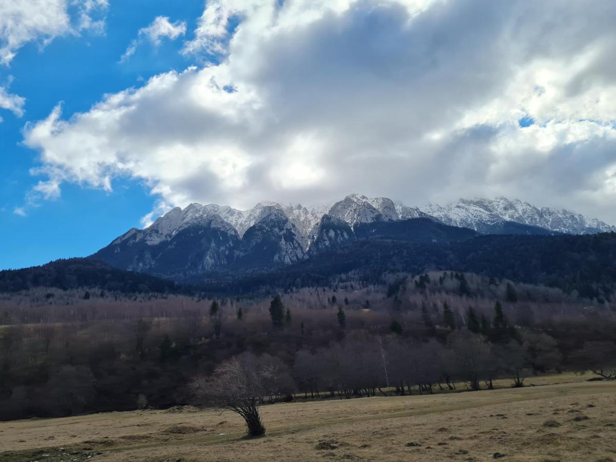 Pensiunea Kyfana Zarnesti Exterior foto