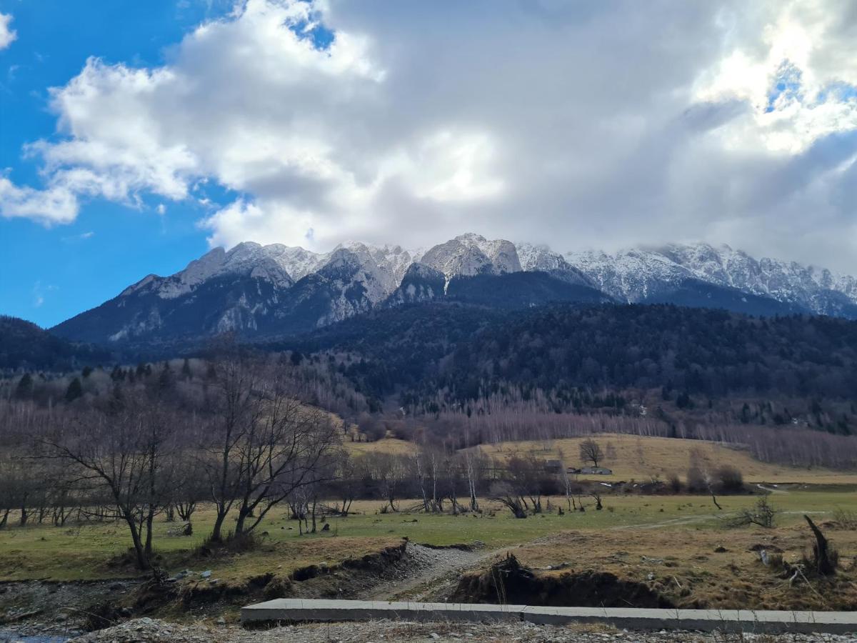 Pensiunea Kyfana Zarnesti Exterior foto