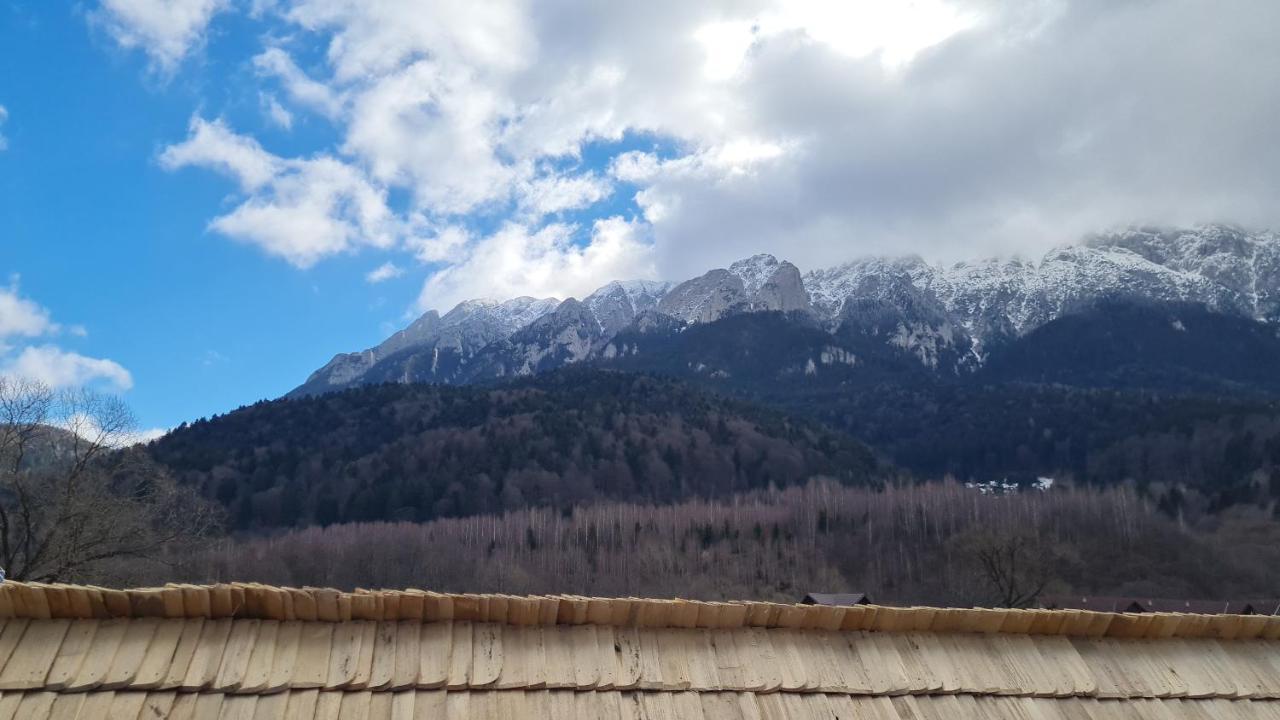 Pensiunea Kyfana Zarnesti Exterior foto