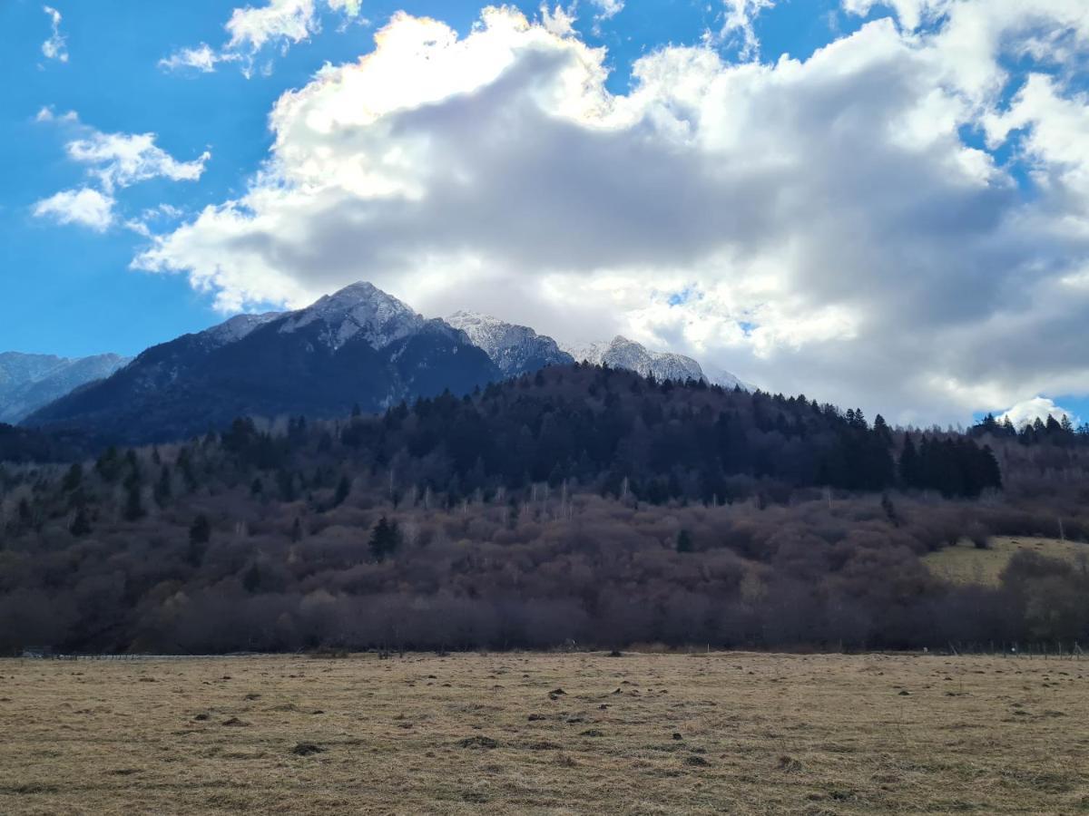 Pensiunea Kyfana Zarnesti Exterior foto
