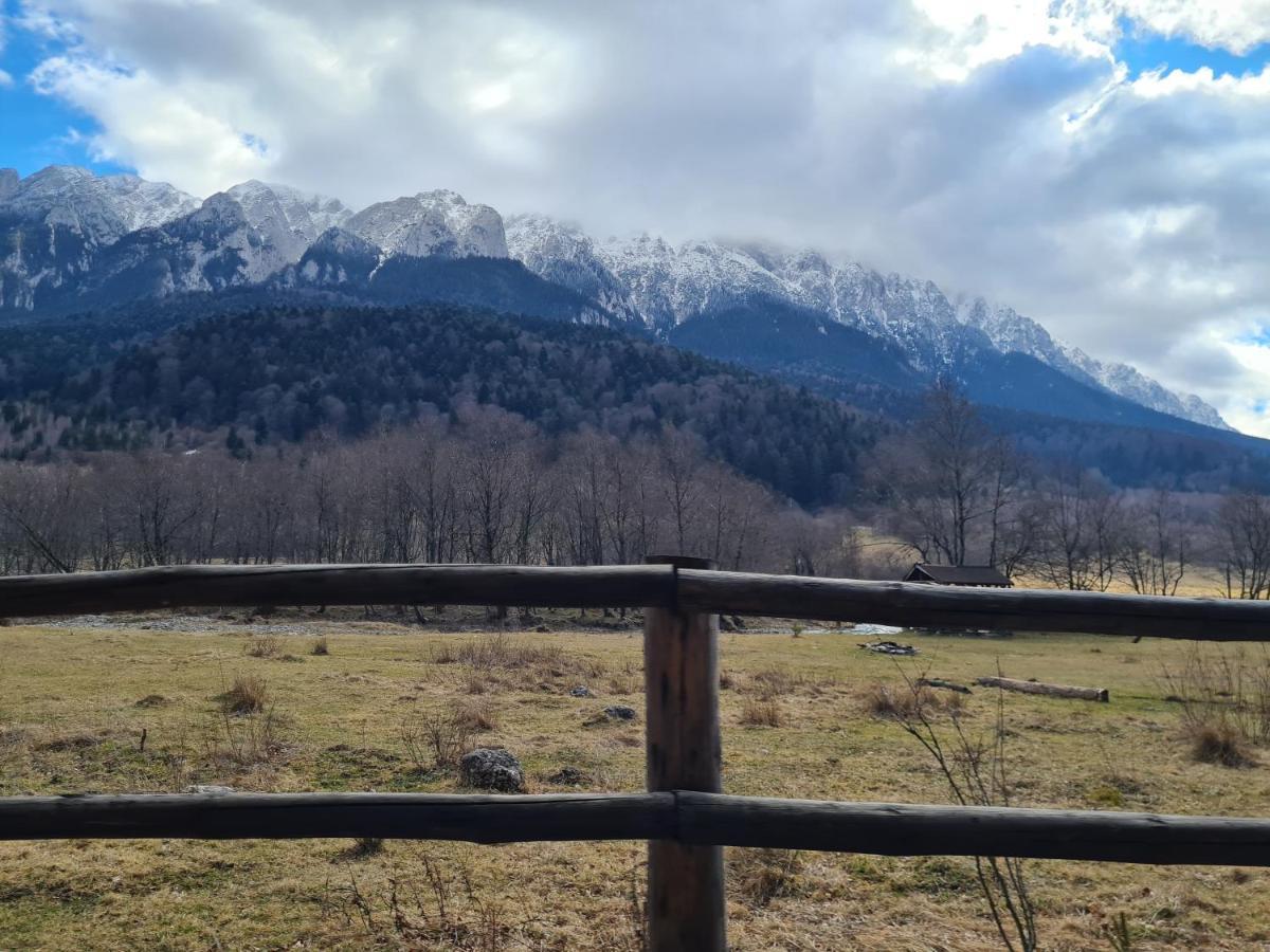Pensiunea Kyfana Zarnesti Exterior foto