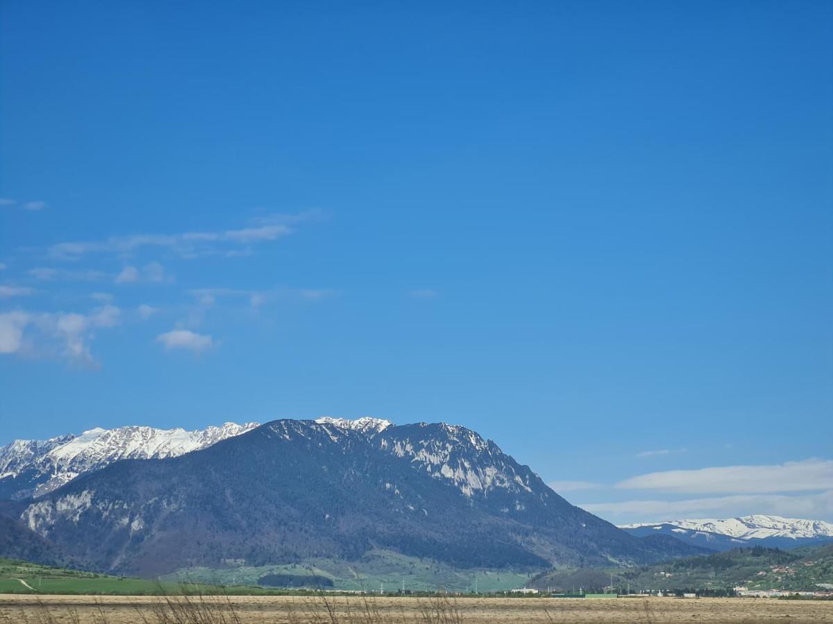 Pensiunea Kyfana Zarnesti Exterior foto