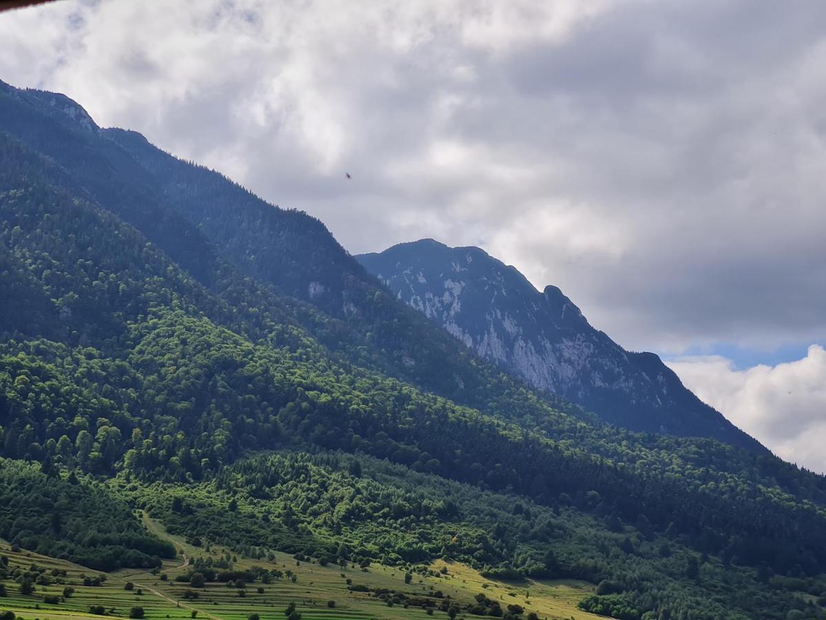 Pensiunea Kyfana Zarnesti Exterior foto