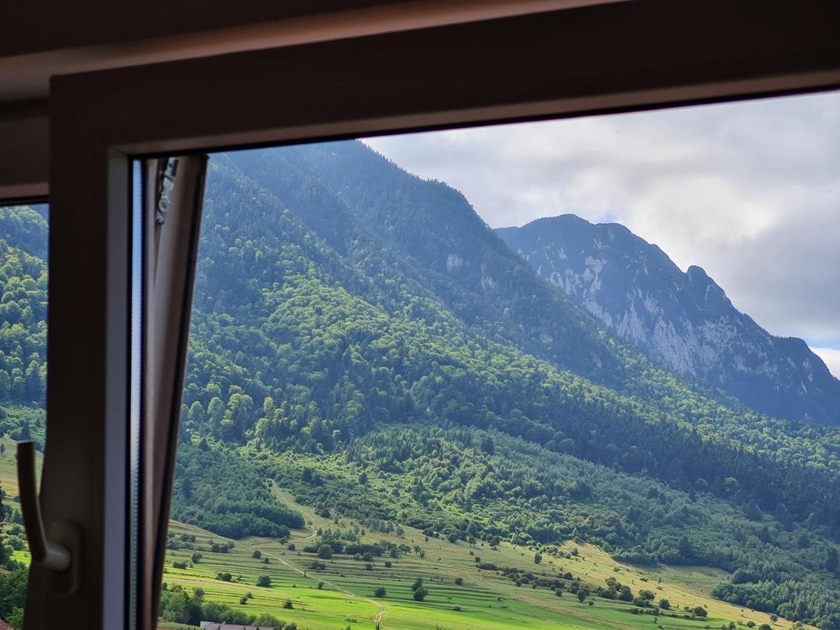 Pensiunea Kyfana Zarnesti Exterior foto