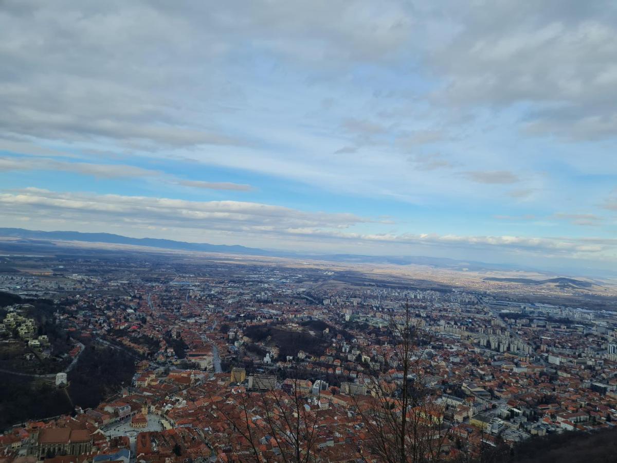 Pensiunea Kyfana Zarnesti Exterior foto