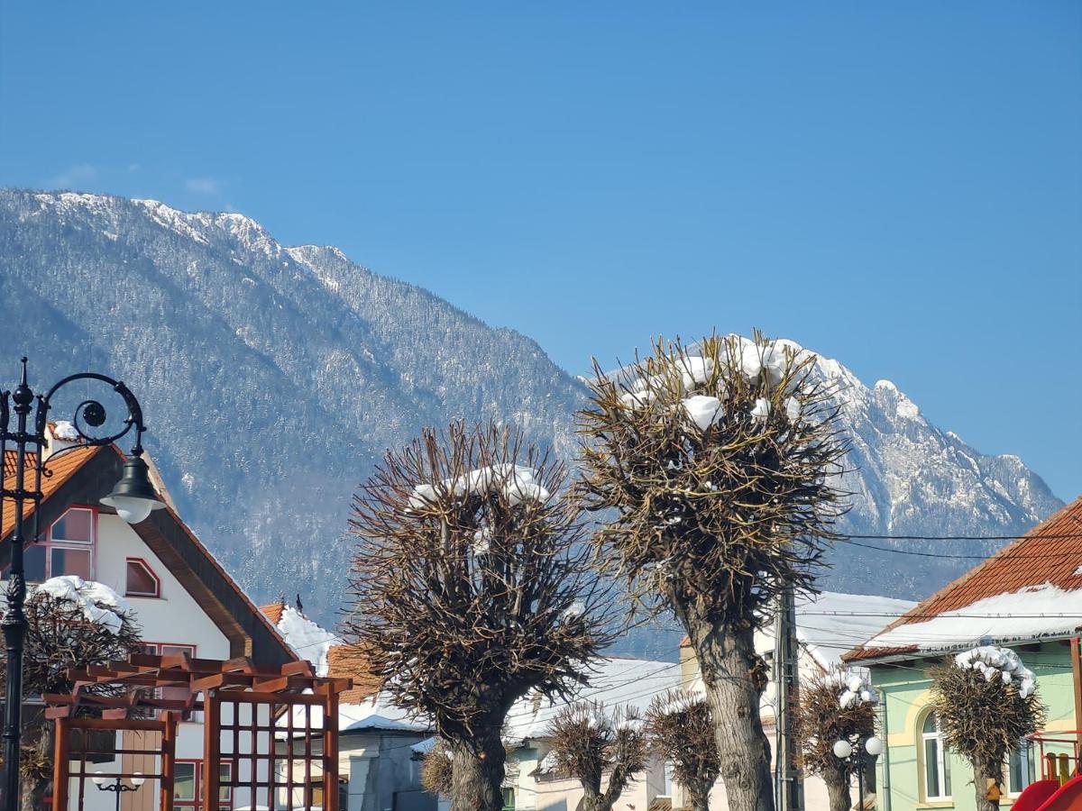Pensiunea Kyfana Zarnesti Exterior foto