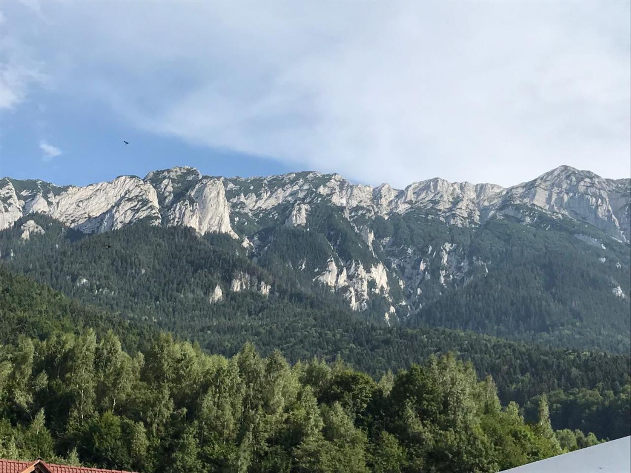 Pensiunea Kyfana Zarnesti Exterior foto