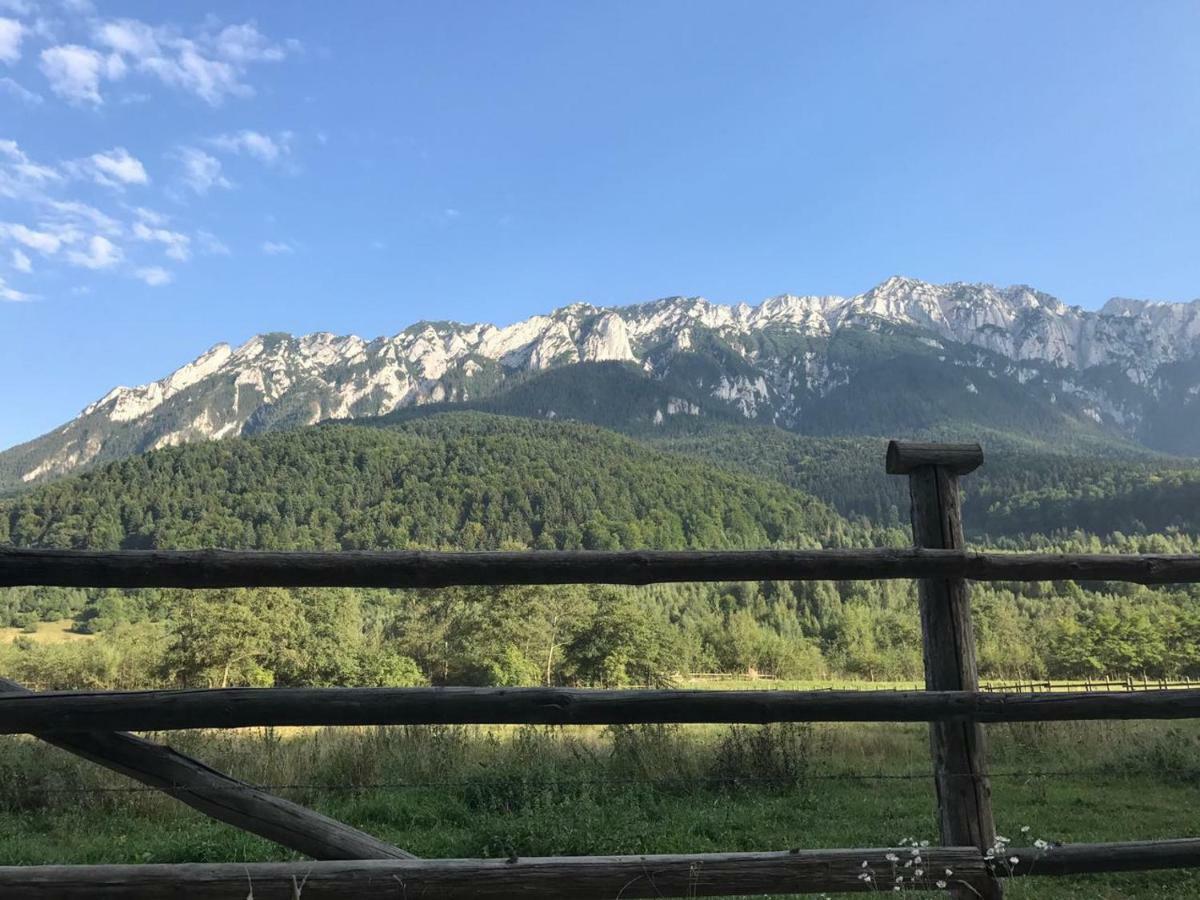 Pensiunea Kyfana Zarnesti Exterior foto